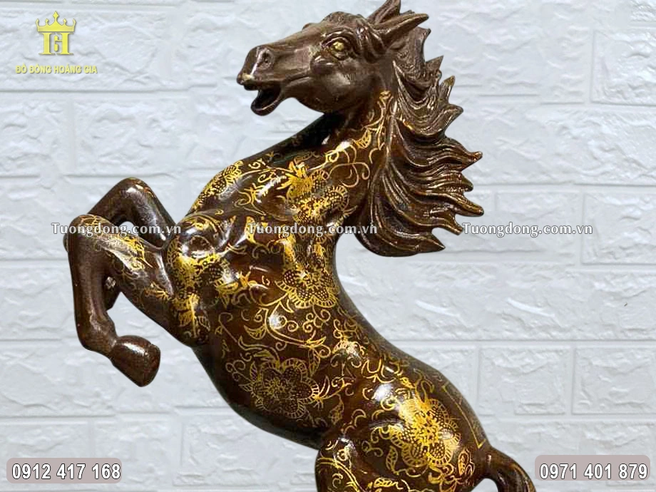 Tai ngựa dựng đứng, đôi mắt nhìn thẳng đầy kiên định